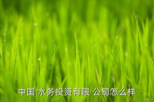 中國 水務投資有限 公司怎么樣