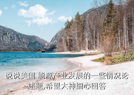 說說美國 能源產業發展的一些情況論述題,希望大神細心回答