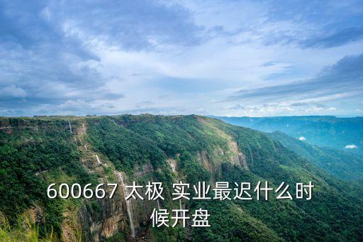 600667 太極 實業最遲什么時候開盤
