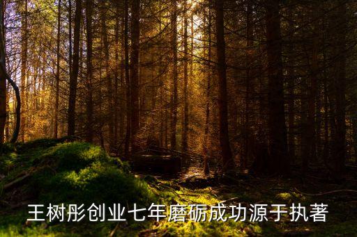 王樹彤創業七年磨礪成功源于執著