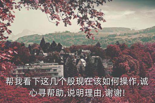 幫我看下這幾個股現在該如何操作,誠心尋幫助,說明理由,謝謝!