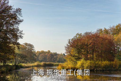 上海振華房地產開發經營有限公司,上海大眾房地產開發經營公司