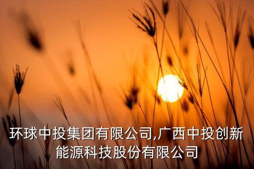 廣西環球中投集團有限公司,廣西中投創新能源科技股份有限公司