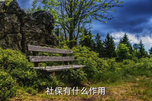 基本養老保險基金合同