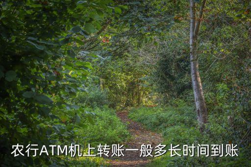 農業銀行議事規則