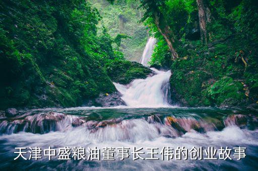  天津中盛糧油董事長王偉的創業故事