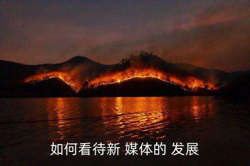 中國新媒體發展報告2012