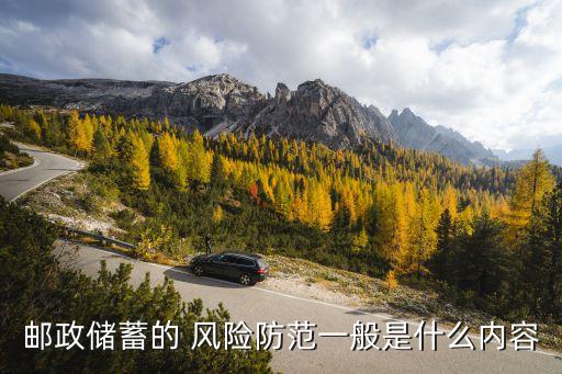 郵政儲蓄的 風(fēng)險(xiǎn)防范一般是什么內(nèi)容