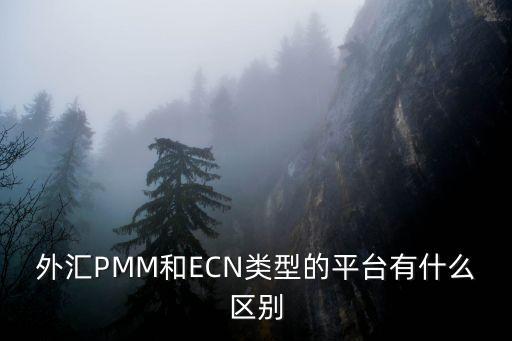 對沖基金的優缺點,量化對沖基金的優缺點