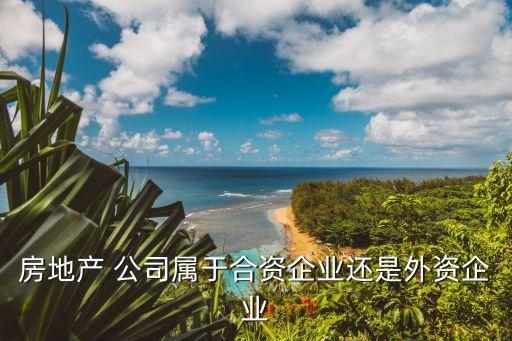 公司實益擁有人,實益擁有人相當于國內