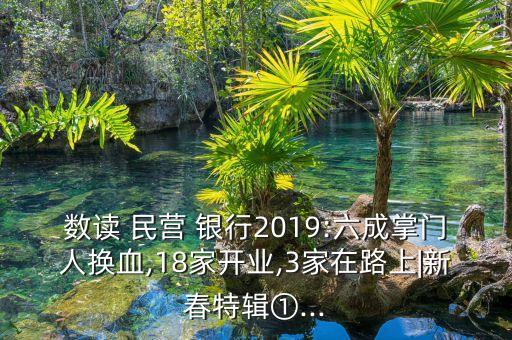 數讀 民營 銀行2019:六成掌門人換血,18家開業,3家在路上|新春特輯①...