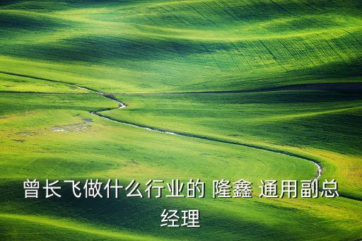 曾長飛做什么行業的 隆鑫 通用副總經理