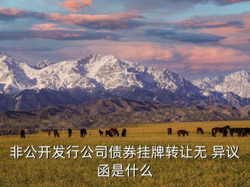 非公開發行公司債券掛牌轉讓無 異議函是什么