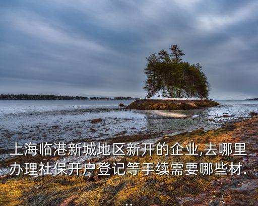 上海臨港新城地區新開的企業,去哪里辦理社保開戶登記等手續需要哪些材...