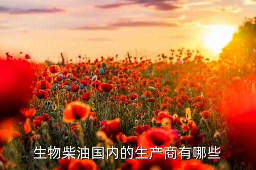 生物柴油國內的生產商有哪些