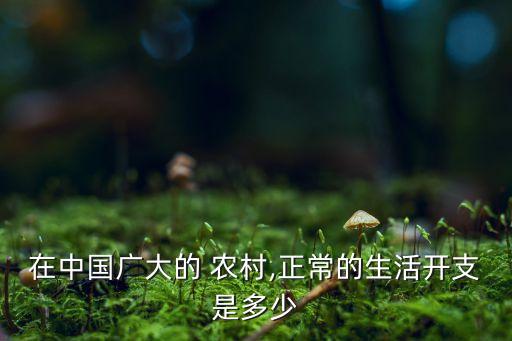 中國農村消費