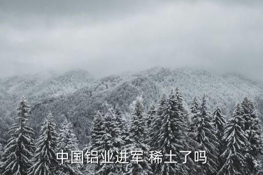中國鋁業進軍 稀土了嗎