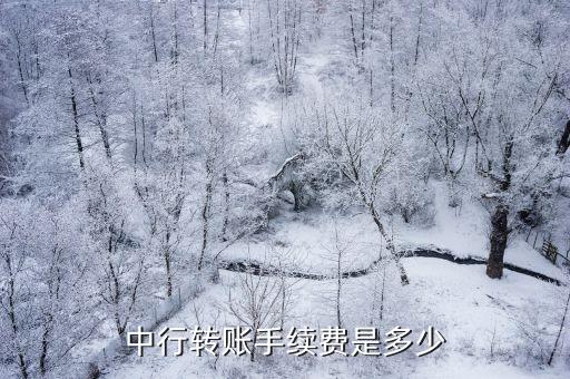 中行轉賬手續費是多少
