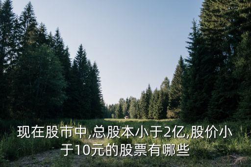 現在股市中,總股本小于2億,股價小于10元的股票有哪些