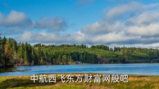 中航西飛東方財富網股吧