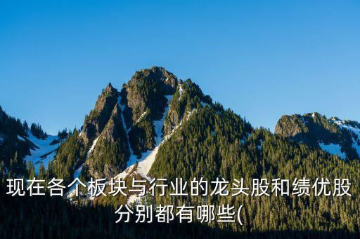 現在各個板塊與行業的龍頭股和績優股分別都有哪些(