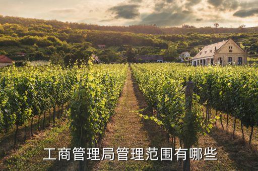 壟斷協議中國家工商總局負責的