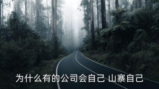 中國企業山寨,中國山寨為什么這么多