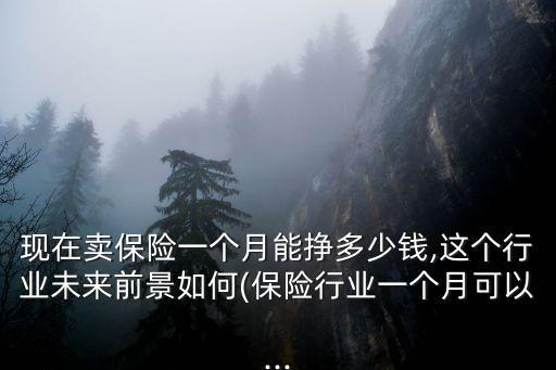 現在賣保險一個月能掙多少錢,這個行業未來前景如何(保險行業一個月可以...