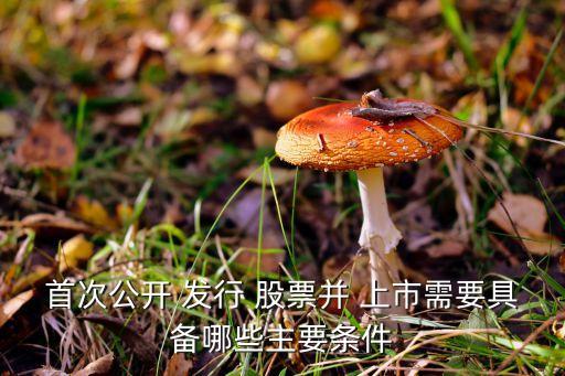 首次公開 發行 股票并 上市需要具備哪些主要條件