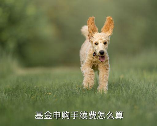  基金申購手續費怎么算
