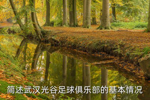 美爾雅集團董事長,黃石美爾雅集團董事長是誰