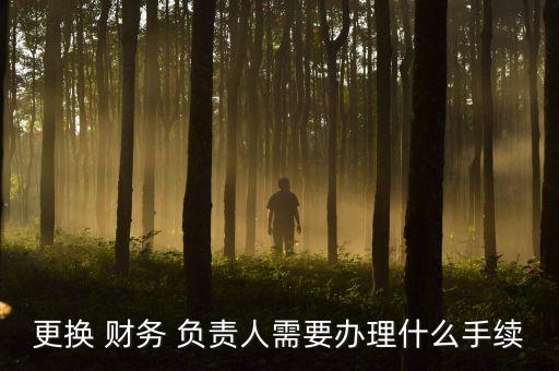 更換 財務 負責人需要辦理什么手續
