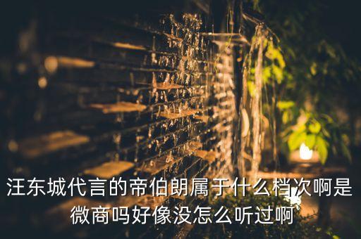 中國微商領導品牌,中國領導品牌可以用么