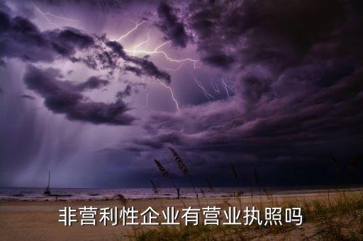 非營利性企業有營業執照嗎