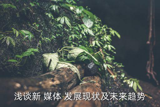 淺談新 媒體 發展現狀及未來趨勢