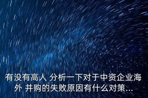 中中國企業跨國并購與新設投資的案例分析