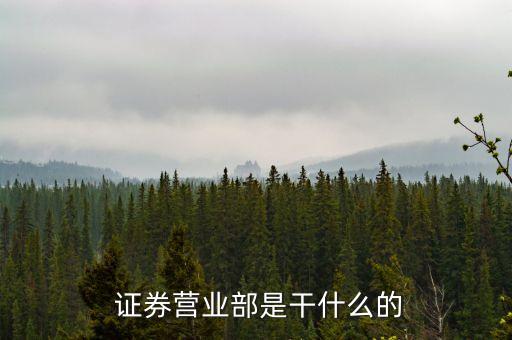  證券營業部是干什么的