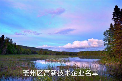 襄州區高新技術企業名單