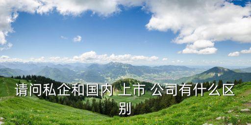 請問私企和國內 上市 公司有什么區別