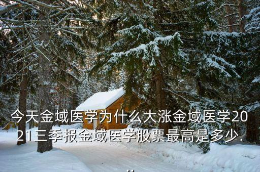 中國高科3季度業績,首航高科二季度業績