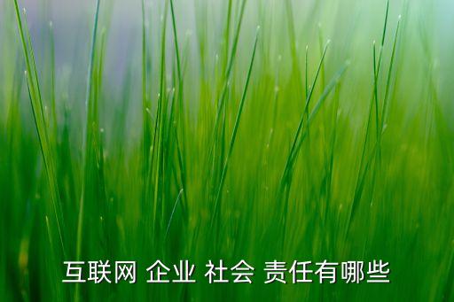 互聯網 企業 社會 責任有哪些
