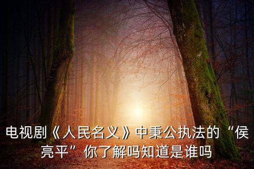 電視劇《人民名義》中秉公執法的“侯亮平”你了解嗎知道是誰嗎