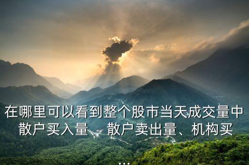 在哪里可以看到整個股市當(dāng)天成交量中 散戶買入量、 散戶賣出量、機(jī)構(gòu)買...