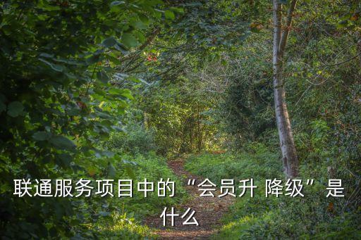 聯通服務項目中的“會員升 降級”是什么