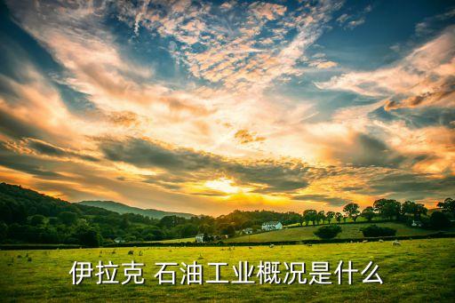 伊拉克 石油工業概況是什么