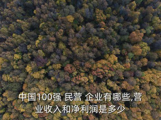 中國100強 民營 企業有哪些,營業收入和凈利潤是多少