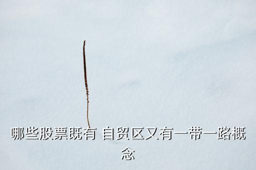 哪些股票既有 自貿區又有一帶一路概念
