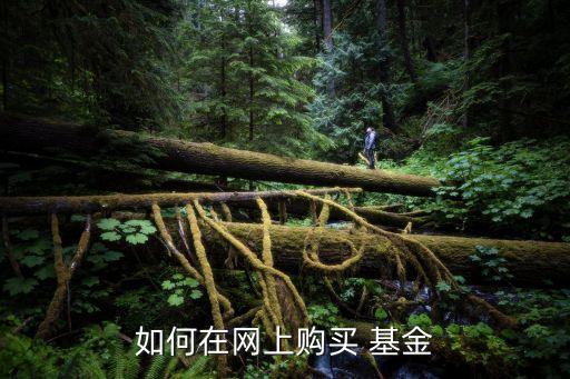 百度基金超市,百度天天基金網