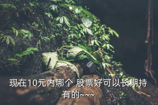 現在10元內哪個 股票好可以長期持有的~~~