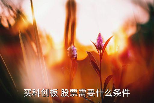 買科創板 股票需要什么條件
